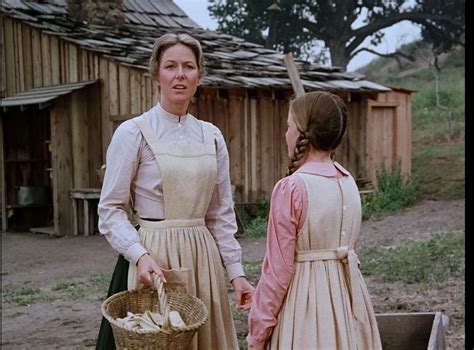 Pin By Dewi Macomber On Everything Little House On The Prairie Farm
