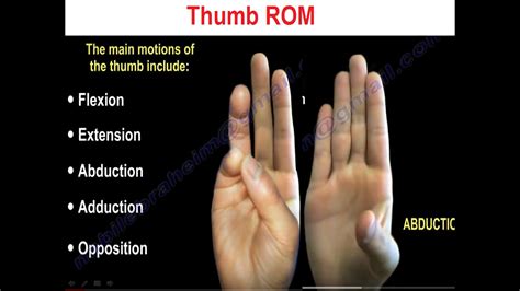 movements   thumb orthopaedicprinciplescom