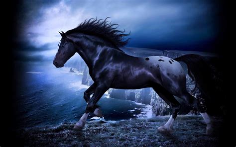 wild stallion hd desktop wallpaper widescreen high definition fullscreen