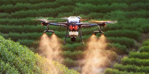 los drones  agricultura haz mas productivos tus cultivos candas