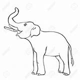 Elephant Trunk Drawing Coloring Vector Illustration Sideways Smiling Getdrawings Clipart Dreamstime Illustrations sketch template