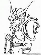 Mewarnai Seiya Shun Andromeda Colorir Shiryu Pegasus Caballeros Putih Hitam Koleksi Hyoga Warnai Lembar Cygnus sketch template