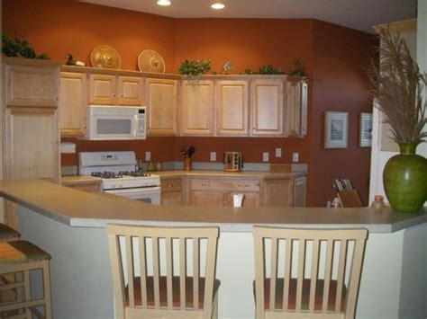 terracotta kitchen  painted  kitchen   rich