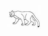 Puma Easy Cougar Drawing Draw Getdrawings Cheetah Step Running sketch template