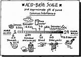 Acids Bases Coloring Asam Basa Indicator Tetapan Kesetimbangan Substances Substance Keseimbangan Alkalinity Kimchee Determine Some sketch template