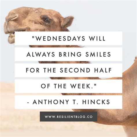 20 Wednesday Quotes For A Happier Hump Day Wednesday Quotes Hump