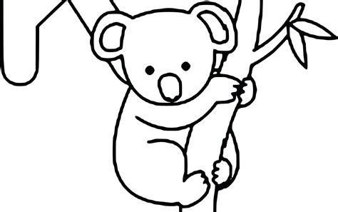 koala drawing cute  getdrawings