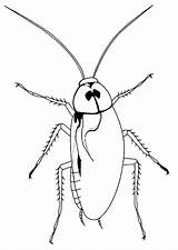 Cockroach Coloring Pages Color Printable Kids sketch template