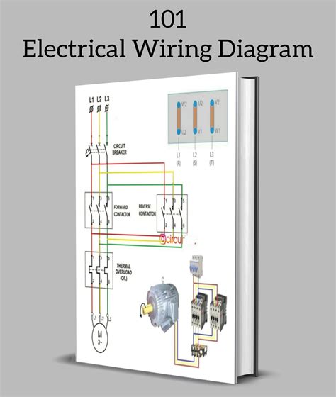 electrical wiring diagrams  dummies  wiring digital  schematic