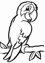 Parrot Coloring Clipart Cartoon Pages Perroquet Color Kids Sheet Simple Children Easy sketch template