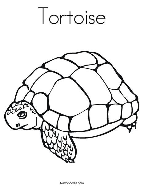 tortoise coloring page twisty noodle