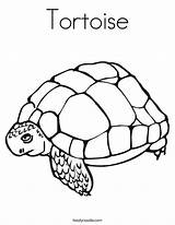 Coloring Worksheet Tortoise Turtle Slow Pages Dude Desert Printable Print Saw Noodle Twisty Outline Favorites Login Add Twistynoodle Hare Built sketch template