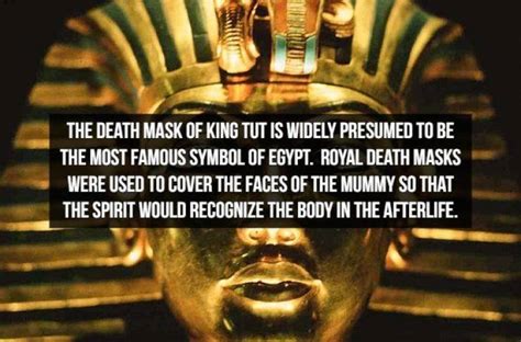 mummified facts about king tut 17 pics