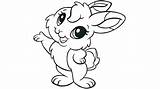 Rabbit Coloring Roger Pages Bunny Getcolorings Colorin sketch template
