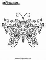 Nicest Fantasie Coloringhome Butterflies Col Trippy Everfreecoloring Absolutel Tsgos Antistress sketch template