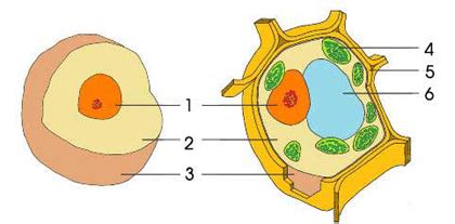 biologie chemie