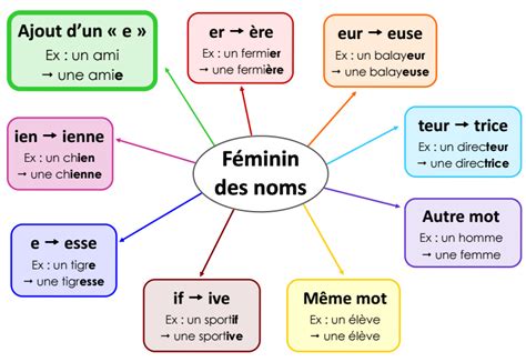 Le Féminin Des Noms Carte Mentale L éducation Française Phrases En