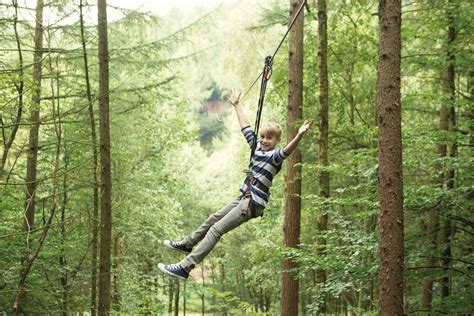 review  ape zip   treetop adventure   creve coeur park offers exceptional