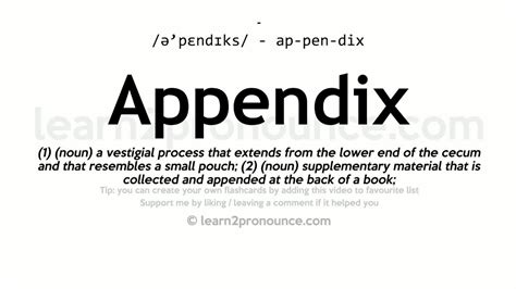 appendix  images appendices   number sections