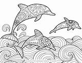 Dolphin Coloring Pages Adult Adults Printable Coloringgarden Print Color Printables Colouring Dolphins Mandala Sheets Pdf Animal Cute Animals Books Format sketch template