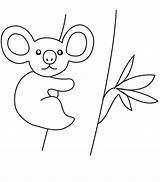 Koala Coloring Zoo Animals sketch template