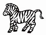 Coloring Zebra Pages Baby Popular sketch template