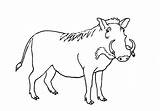 Warthog Draw Easy Step Instagram sketch template