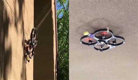 insect  drone  attach  walls  ceilings
