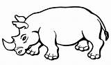 Hewan Rhinoceros Mewarnai Sketsa Darat Colorear Binatang Singa Salvajes Rhinos Terbaru Gambarcoloring Rhino Lengkap Bestcoloringpagesforkids Hitam Putih Berkaki Jumanji Wallpapertip sketch template