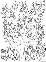 Coloring Tree Pages Leaves Olivier Adult Cute Pears Printable Flowers Print Garden Fleurs Color Vegetation Adults Et Leaf Book Visit sketch template