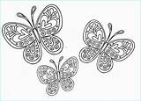 Fiori Farfalle sketch template