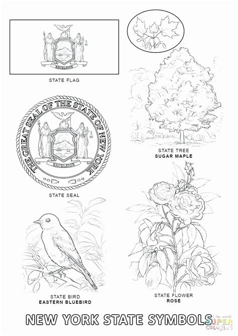 pennsylvania state bird coloring pages jesyscioblin