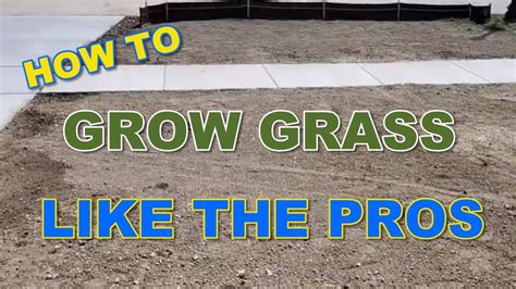 grow grass   pros part  youtube