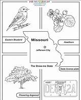 Missouri State Coloring Tree Bird Flower Symbols Pages Activities Printables Mrnussbaum Allows Students Awesome Printable sketch template