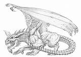 Gargantuan Dragons sketch template