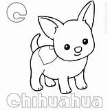 Chihuahua Coloring Pages Coloringbay Kids sketch template