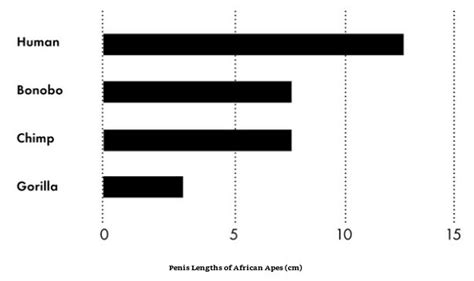 cock comparison by race