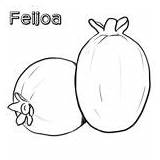 Coloring Feijoa Fruit Printable Pages sketch template