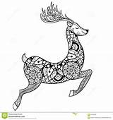 Coloring Adult Deer Pages Christmas Reindeer Stress Vector Zentangle Anti Ornamental Tribal Patterned Tattoo Poster Print Stock Hand Illustration Printable sketch template