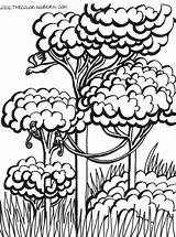 Rainforest Coloring Pages Drawing Trees Print Color Getdrawings Kids Sheets sketch template