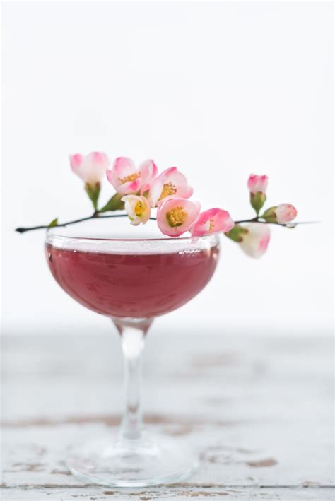 cherry blossom cocktail design sponge