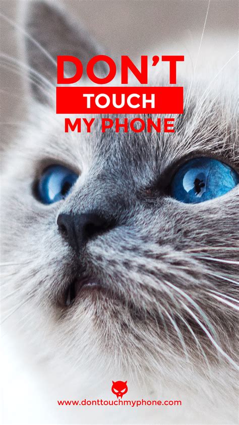 Don’t Touch My Phone Cat Wallpapers Dont Touch My Phone