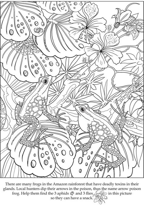 hidden animal camouflage coloring pages printable feel   print