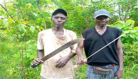 protective gears forest guards lament  challenges  fatu network