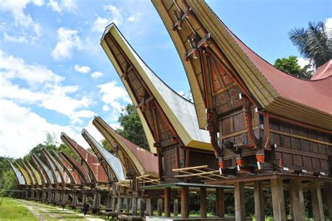 Ciri Khas Suku Toraja, rumah adat toraja makna jenis gambar penjelasan lengkap