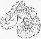 Schlange Snakes Reptiles Cool2bkids sketch template