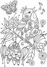 Doverpublications Coloring Pages Easy Adult Mandala Dover Animal Publications Book Adults Books Sheets Dibujos Choose Board Boyama Visit Hayvan Colouring sketch template