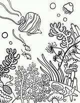 Reef Coral Coloring Pages Color Drawing Printable Kids Choose Board sketch template