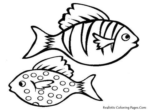 cartoon fish drawings  printable fish coloring sea fish coloring