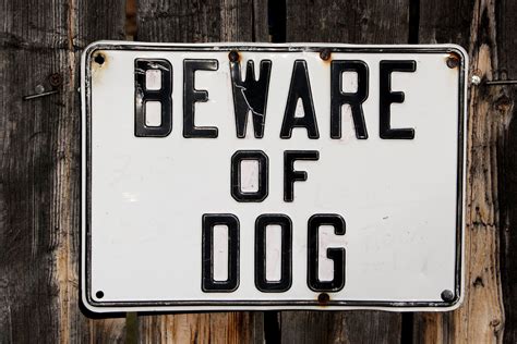 beware  dog sign picture  photograph  public domain